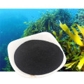 100% water organic fertilizer soluble seaweed extract